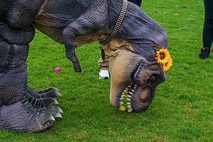 04192025_INDvCHS_m7695